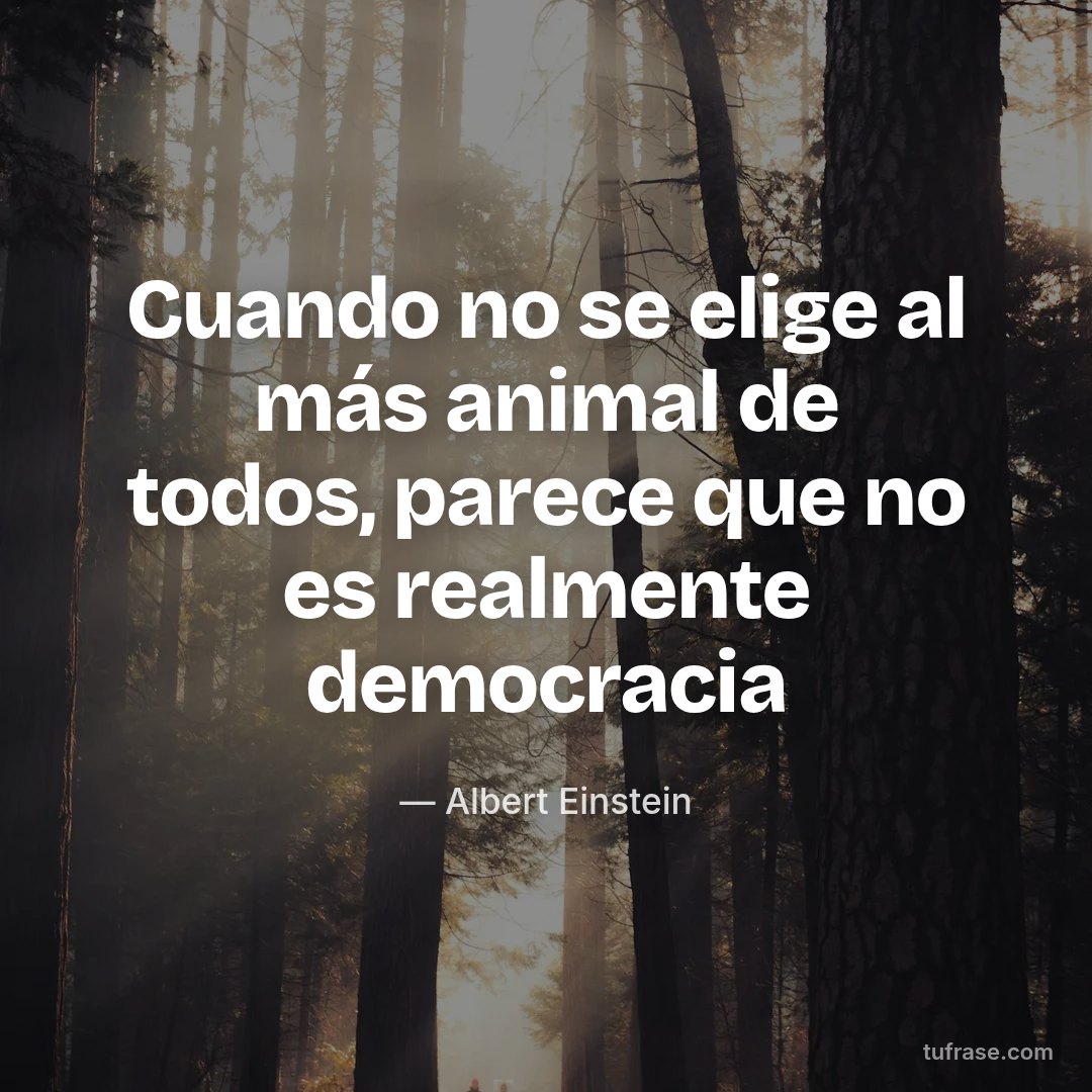 Cuando no se elige al más animal de todos, parece que no es realmente democracia