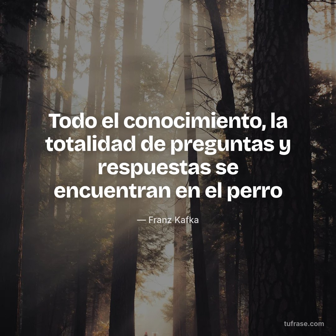 Todo el conocimiento, la totalidad de preguntas y respuestas se encuentran en el perro