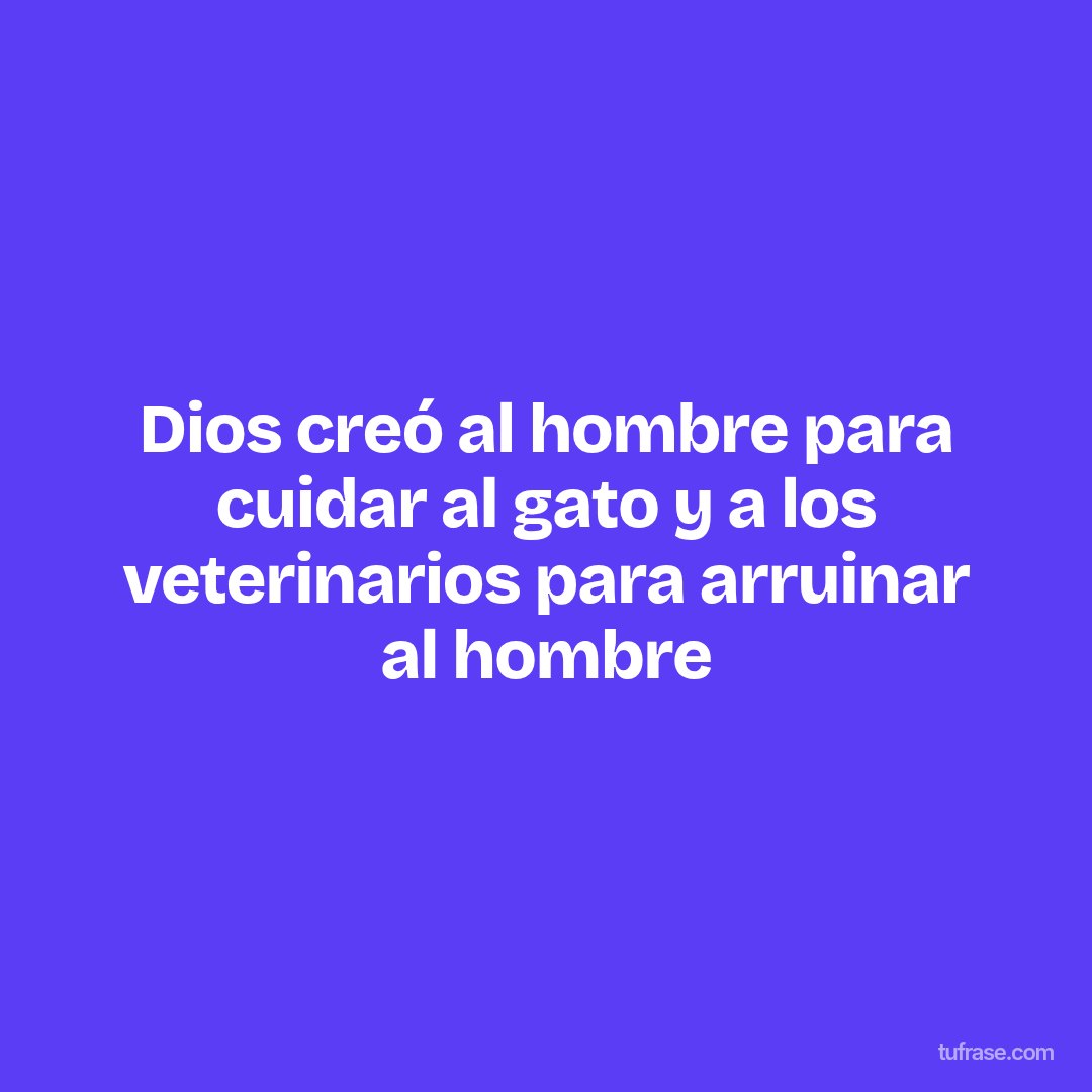 Dios creó al hombre para cuidar al gato y a los veterinarios para arruinar al hombre