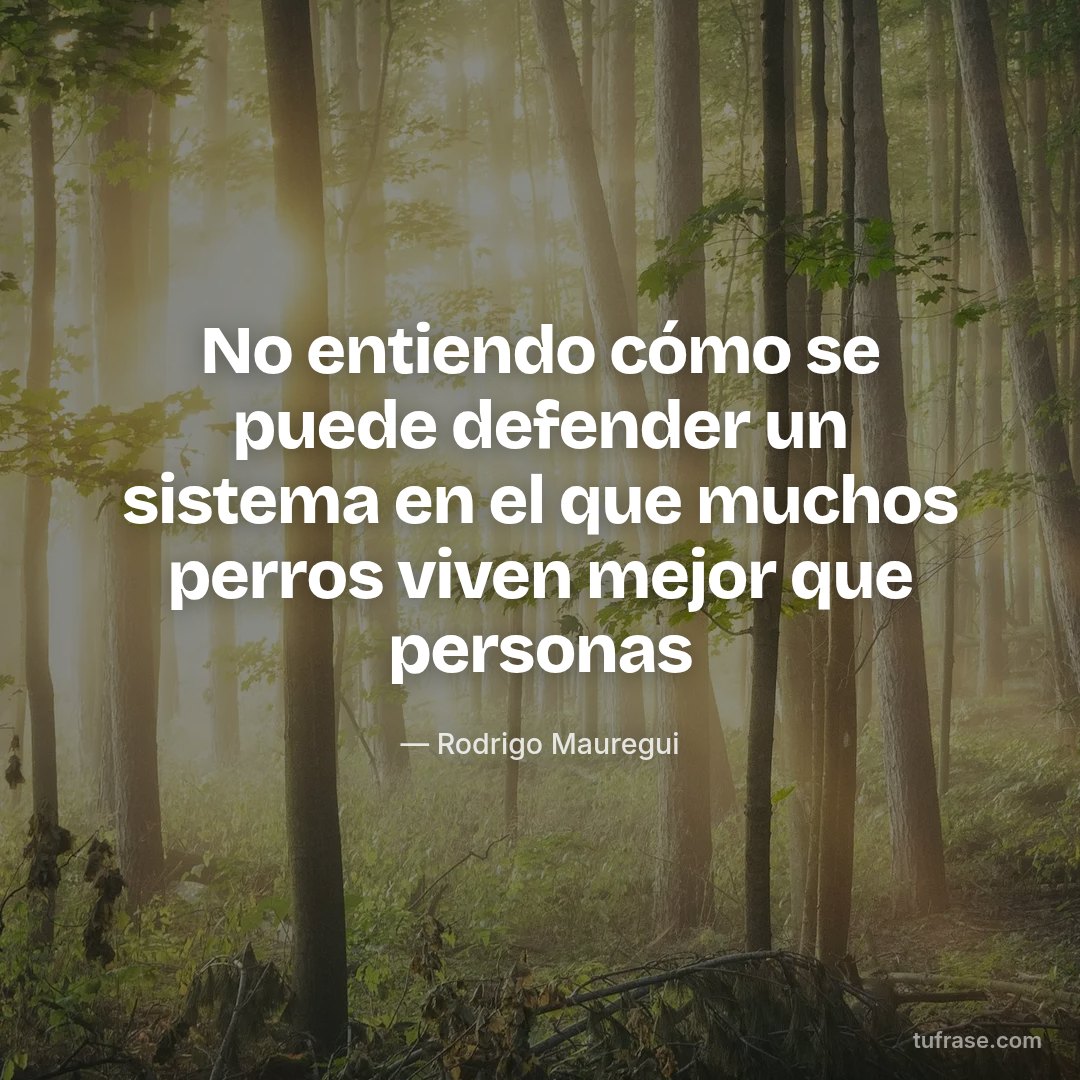 No entiendo cómo se puede defender un sistema en el que muchos perros viven mejor que personas