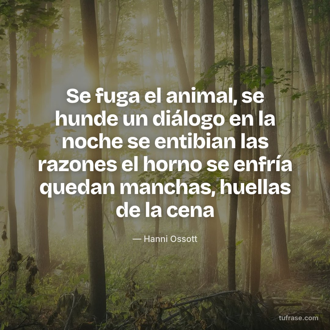 Se fuga el animal, se hunde un diálogo en la noche se entibian las razones el horno se enfría quedan manchas, huellas de la cena