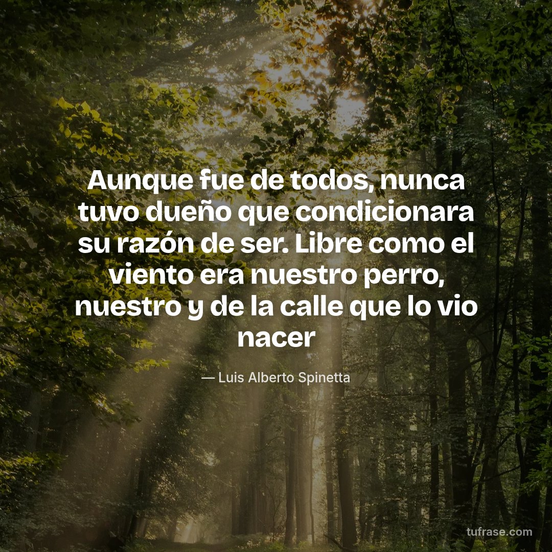 Aunque fue de todos, nunca tuvo dueño que condicionara su razón de ser. Libre como el viento era nuestro perro, nuestro y de la calle que lo vio nacer