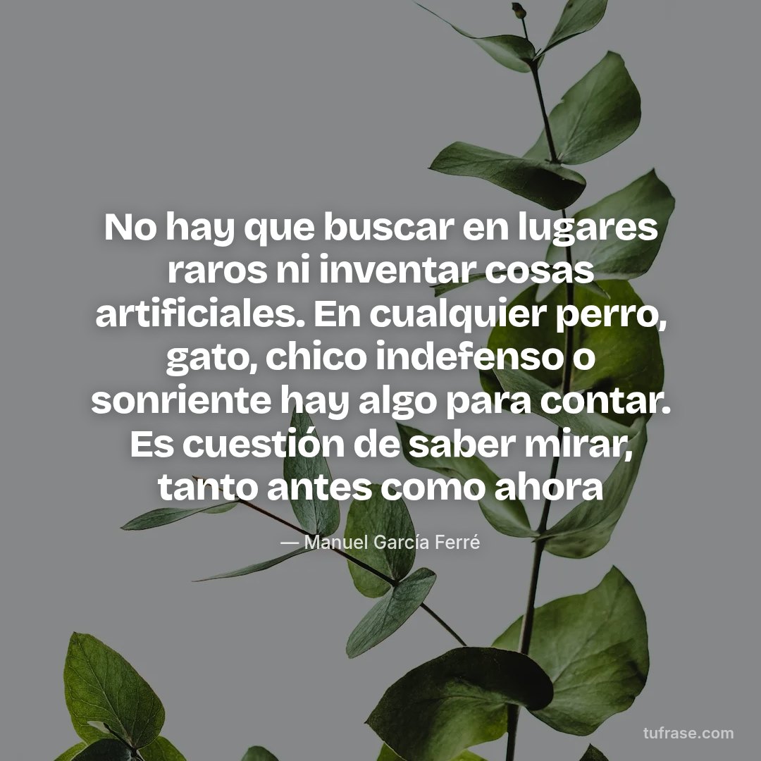 No hay que buscar en lugares raros ni inventar cosas artificiales. En cualquier perro, gato, chico indefenso o sonriente hay algo para contar. Es cuestión de saber mirar, tanto antes como ahora