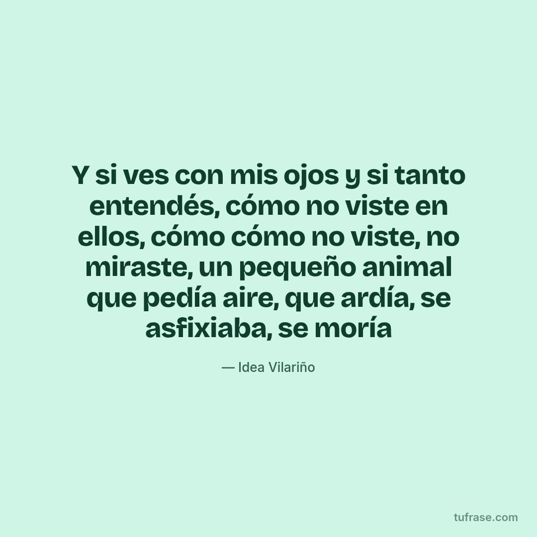 Y si ves con mis ojos y si tanto entendés, cómo no viste en ellos, cómo cómo no viste, no miraste, un pequeño animal que pedía aire, que ardía, se asfixiaba, se moría