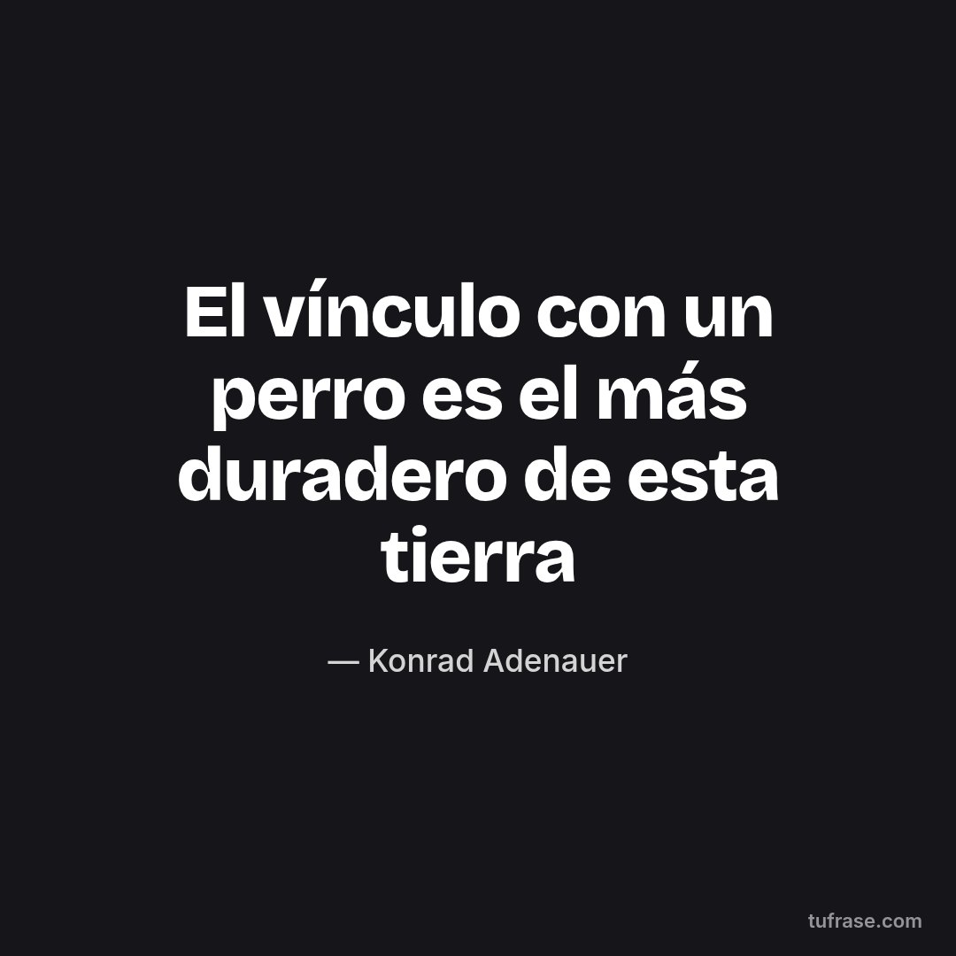 El vínculo con un perro es el más duradero de esta tierra