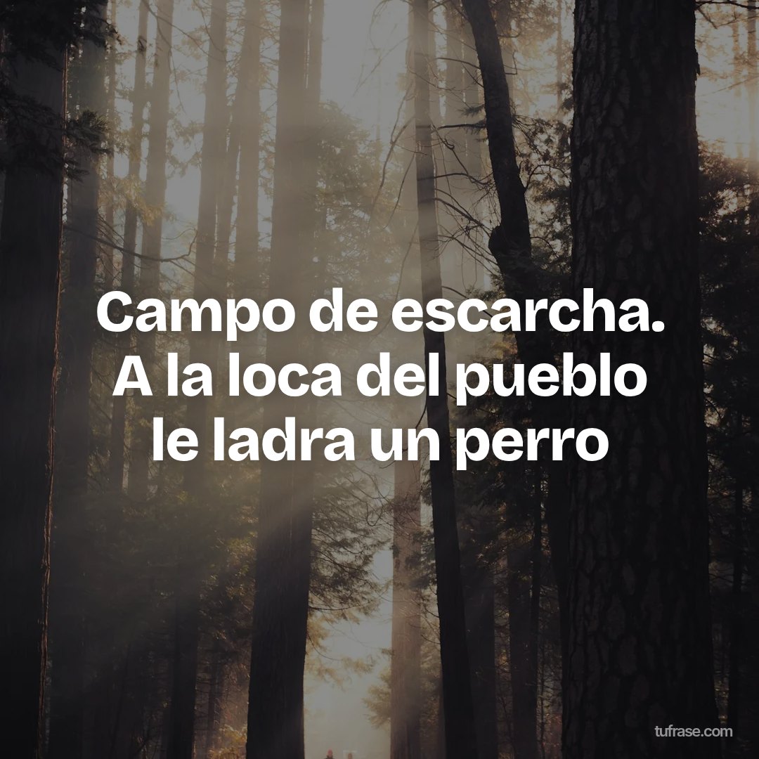Campo de escarcha. A la loca del pueblo le ladra un perro