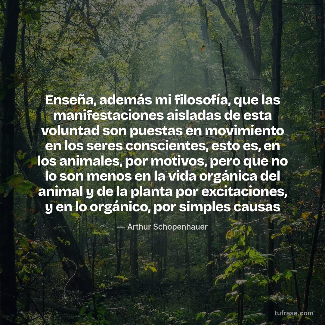 Enseña, además mi filosofía, que las manifestaciones aisladas de esta voluntad son puestas en movimiento en los seres conscientes, esto es, en los animales, por motivos, pero que no lo son menos en la vida orgánica del animal y de la planta por excitaciones, y en lo orgánico, por simples causas