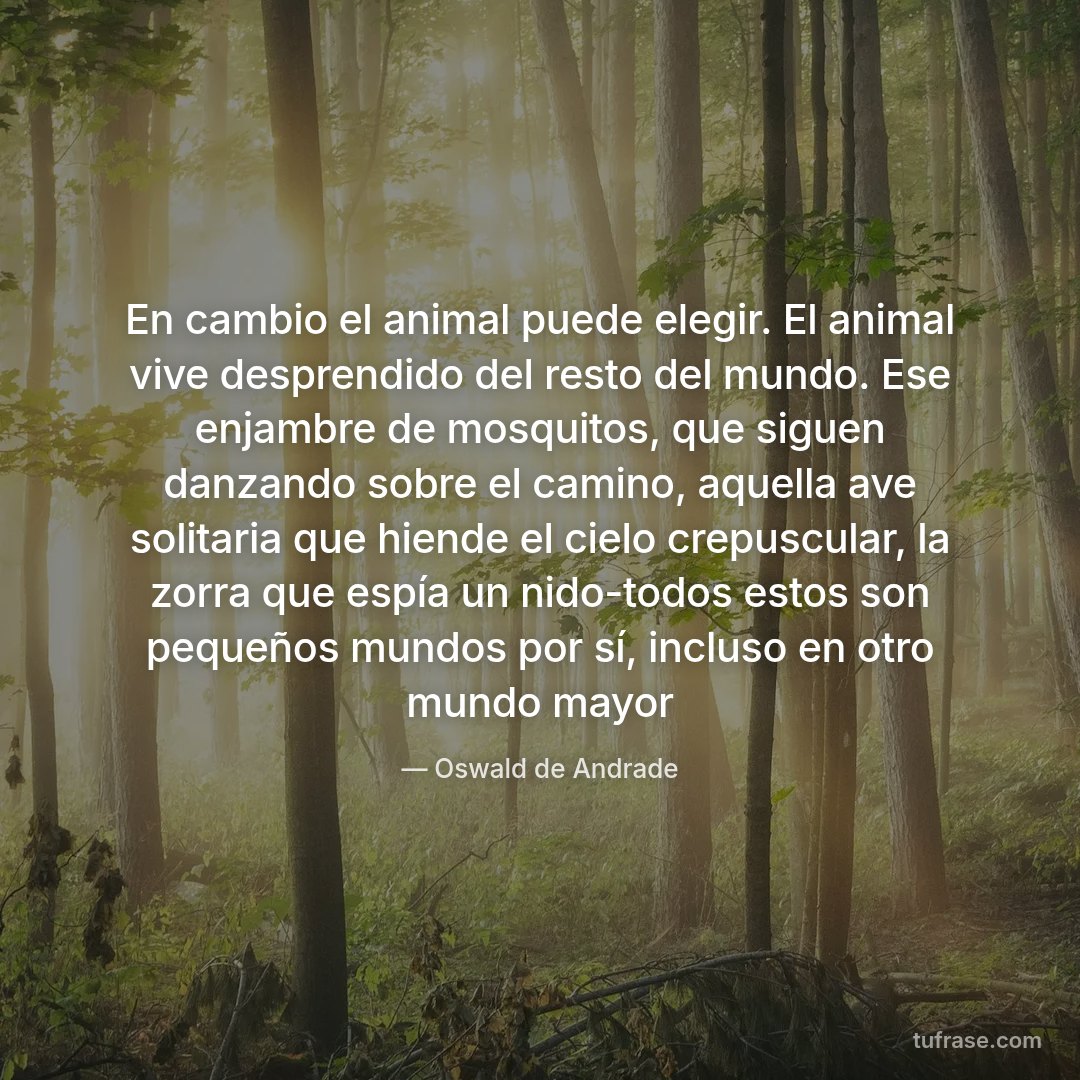 En cambio el animal puede elegir. El animal vive desprendido del resto del mundo. Ese enjambre de mosquitos, que siguen danzando sobre el camino, aquella ave solitaria que hiende el cielo crepuscular, la zorra que espía un nido-todos estos son pequeños mundos por sí, incluso en otro mundo mayor