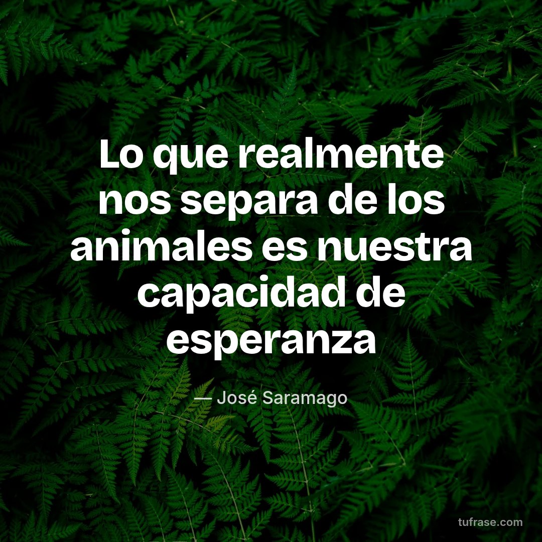 Lo que realmente nos separa de los animales es nuestra capacidad de esperanza