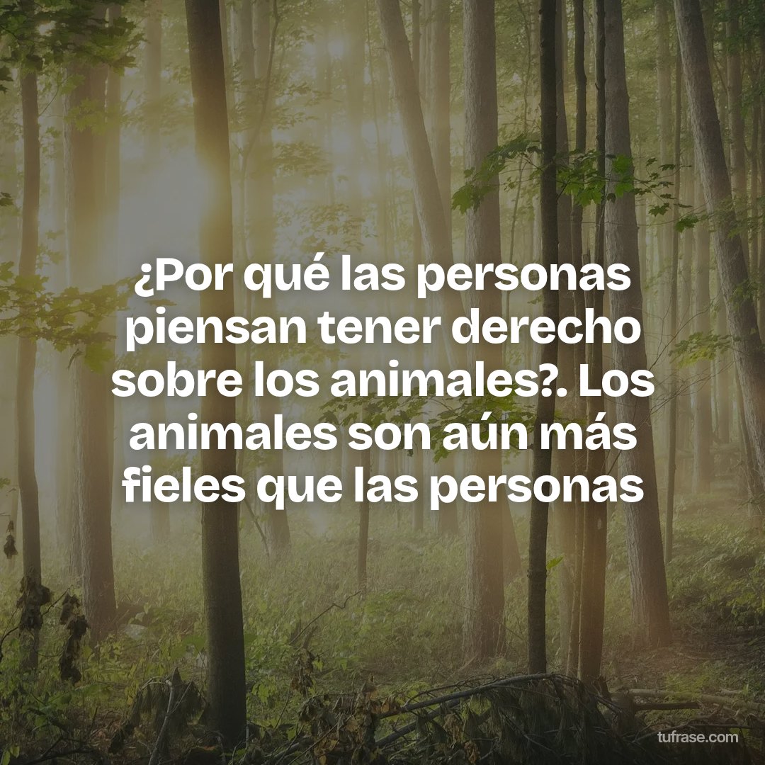 ¿Por qué las personas piensan tener derecho sobre los animales?. Los animales son aún más fieles que las personas