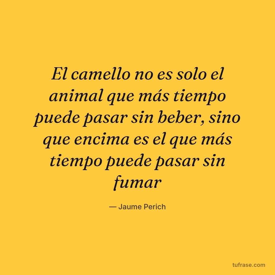 El camello no es solo el animal que más tiempo puede pasar sin beber, sino que encima es el que más tiempo puede pasar sin fumar