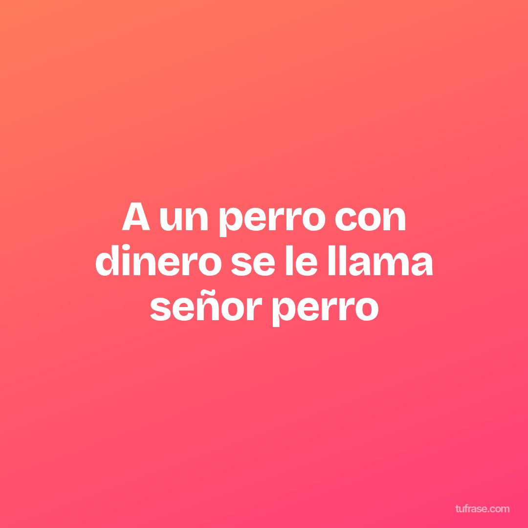 A un perro con dinero se le llama señor perro