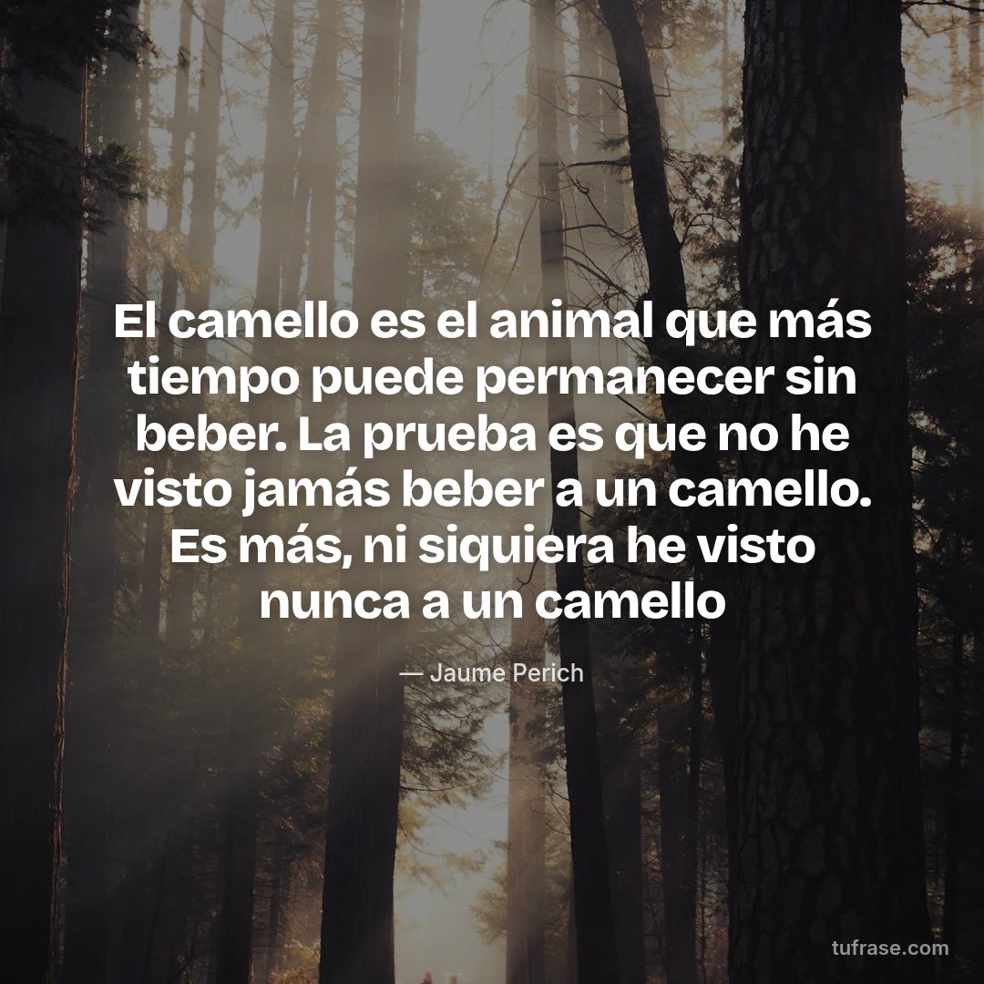 El camello es el animal que más tiempo puede permanecer sin beber. La prueba es que no he visto jamás beber a un camello. Es más, ni siquiera he visto nunca a un camello