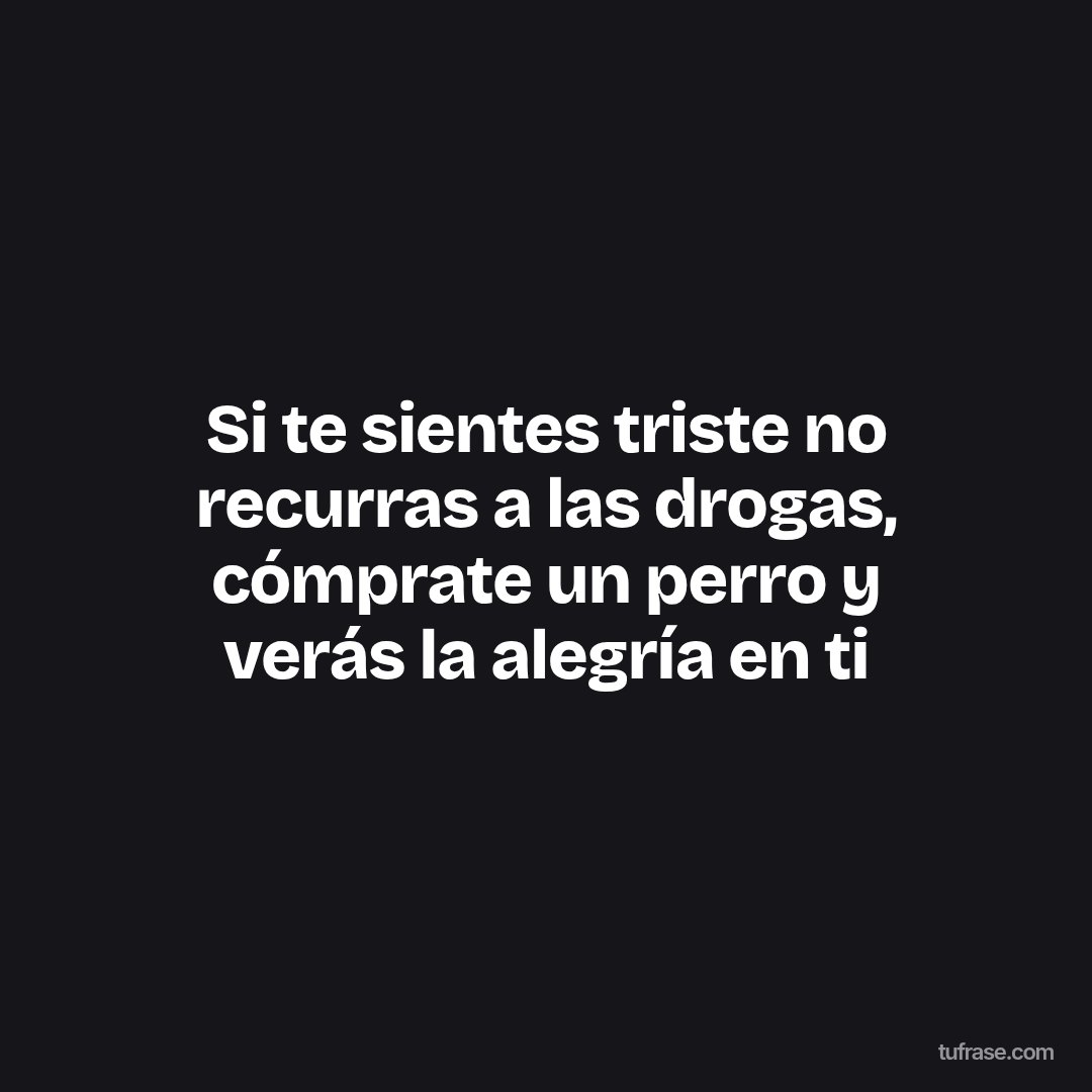 Si te sientes triste no recurras a las drogas, cómprate un perro y verás la alegría en ti