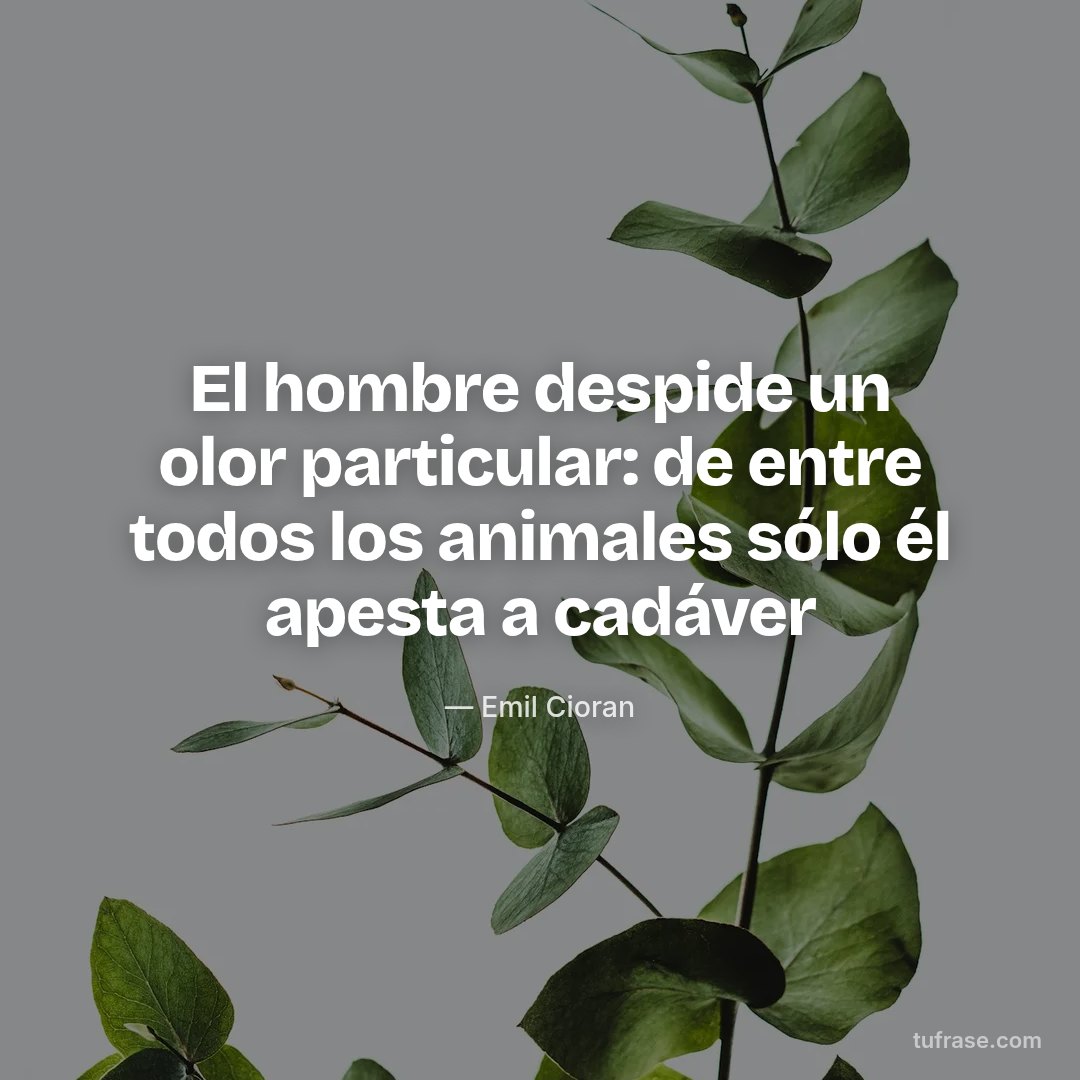 El hombre despide un olor particular: de entre todos los animales sólo él apesta a cadáver