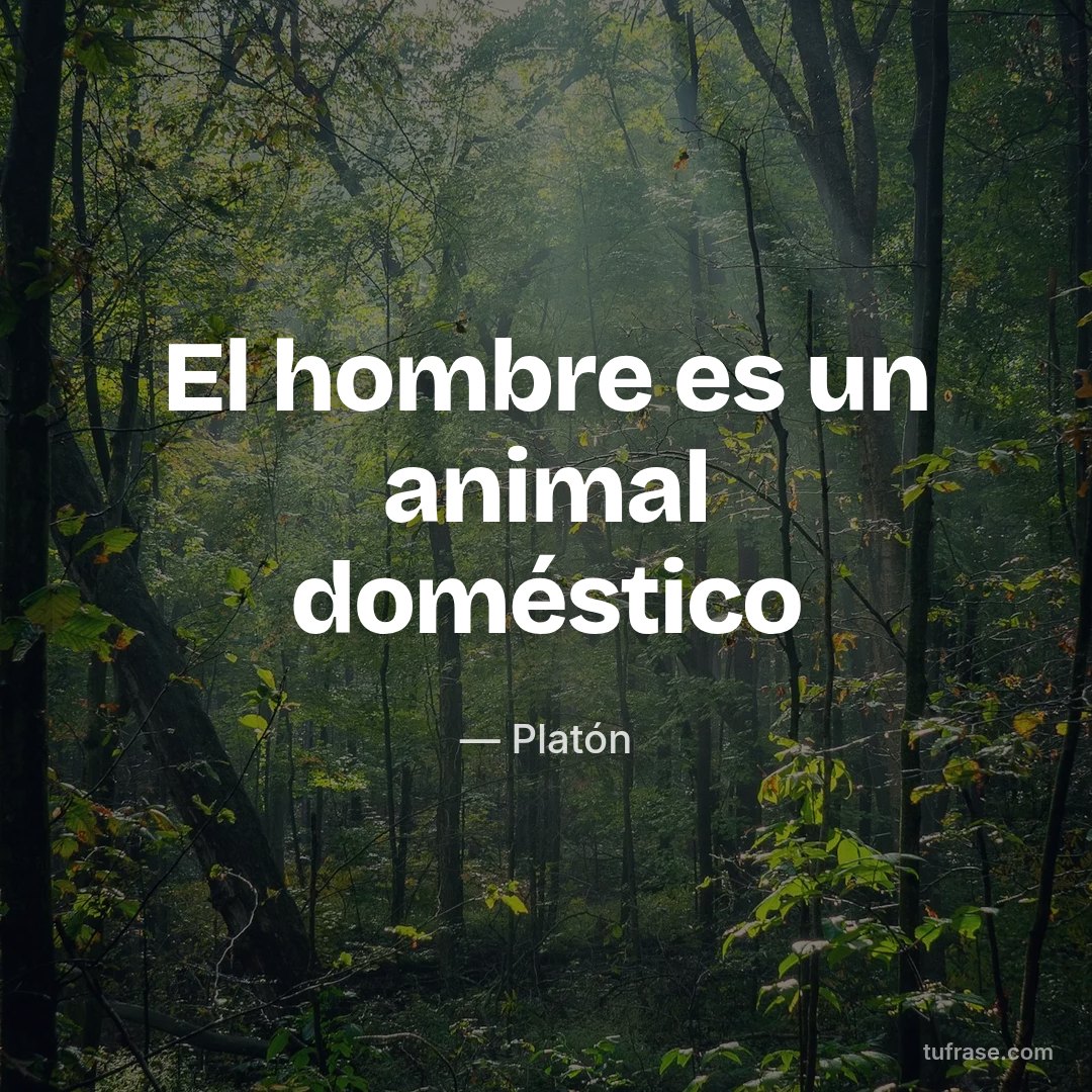 El hombre es un animal doméstico