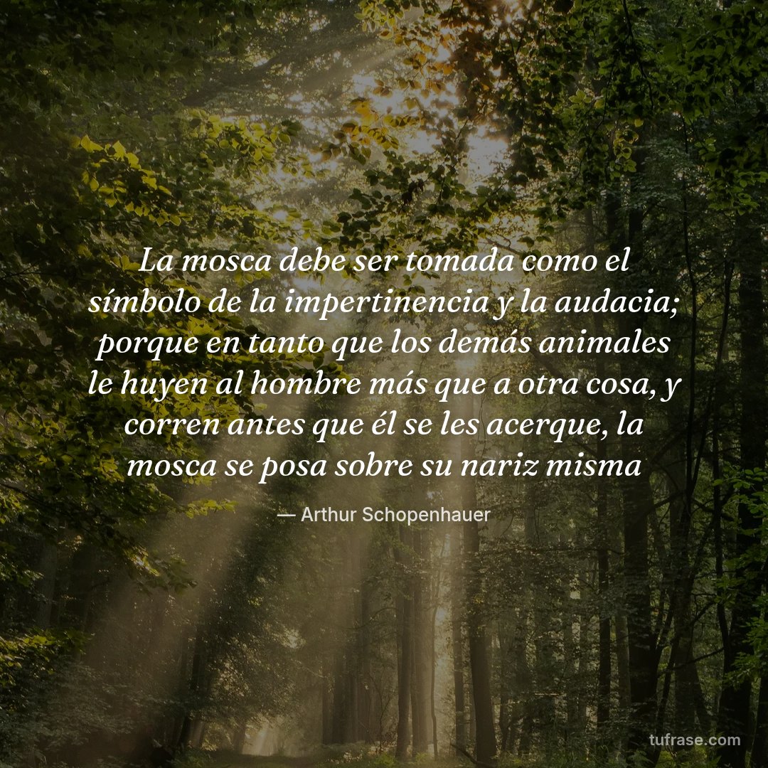 La mosca debe ser tomada como el símbolo de la impertinencia y la audacia; porque en tanto que los demás animales le huyen al hombre más que a otra cosa, y corren antes que él se les acerque, la mosca se posa sobre su nariz misma