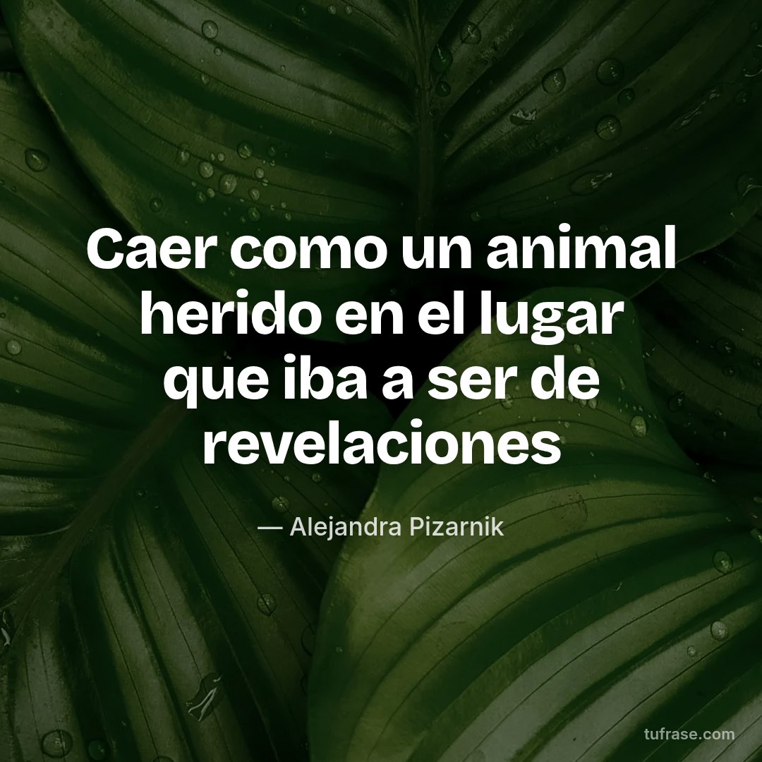 Caer como un animal herido en el lugar que iba a ser de revelaciones