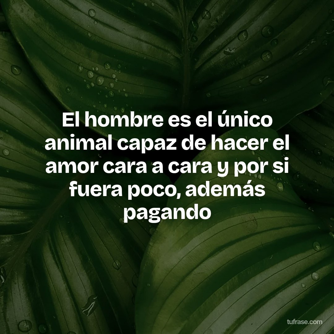 El hombre es el único animal capaz de hacer el amor cara a cara y por si fuera poco, además pagando