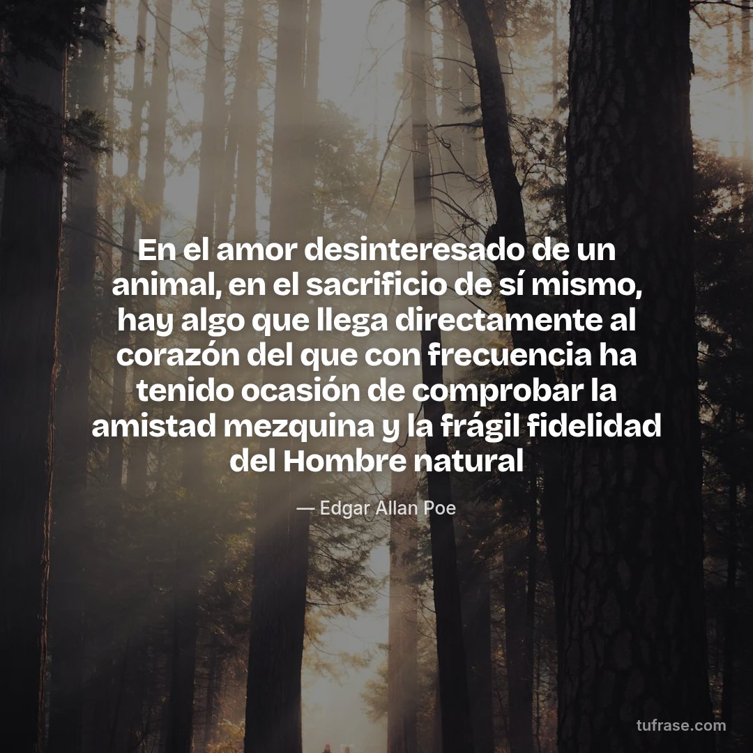 En el amor desinteresado de un animal, en el sacrificio de sí mismo, hay algo que llega directamente al corazón del que con frecuencia ha tenido ocasión de comprobar la amistad mezquina y la frágil fidelidad del Hombre natural