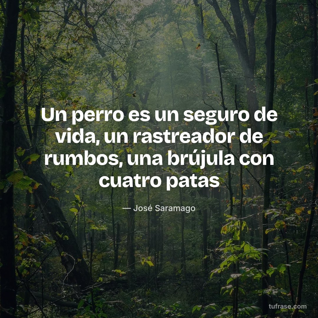 Un perro es un seguro de vida, un rastreador de rumbos, una brújula con cuatro patas