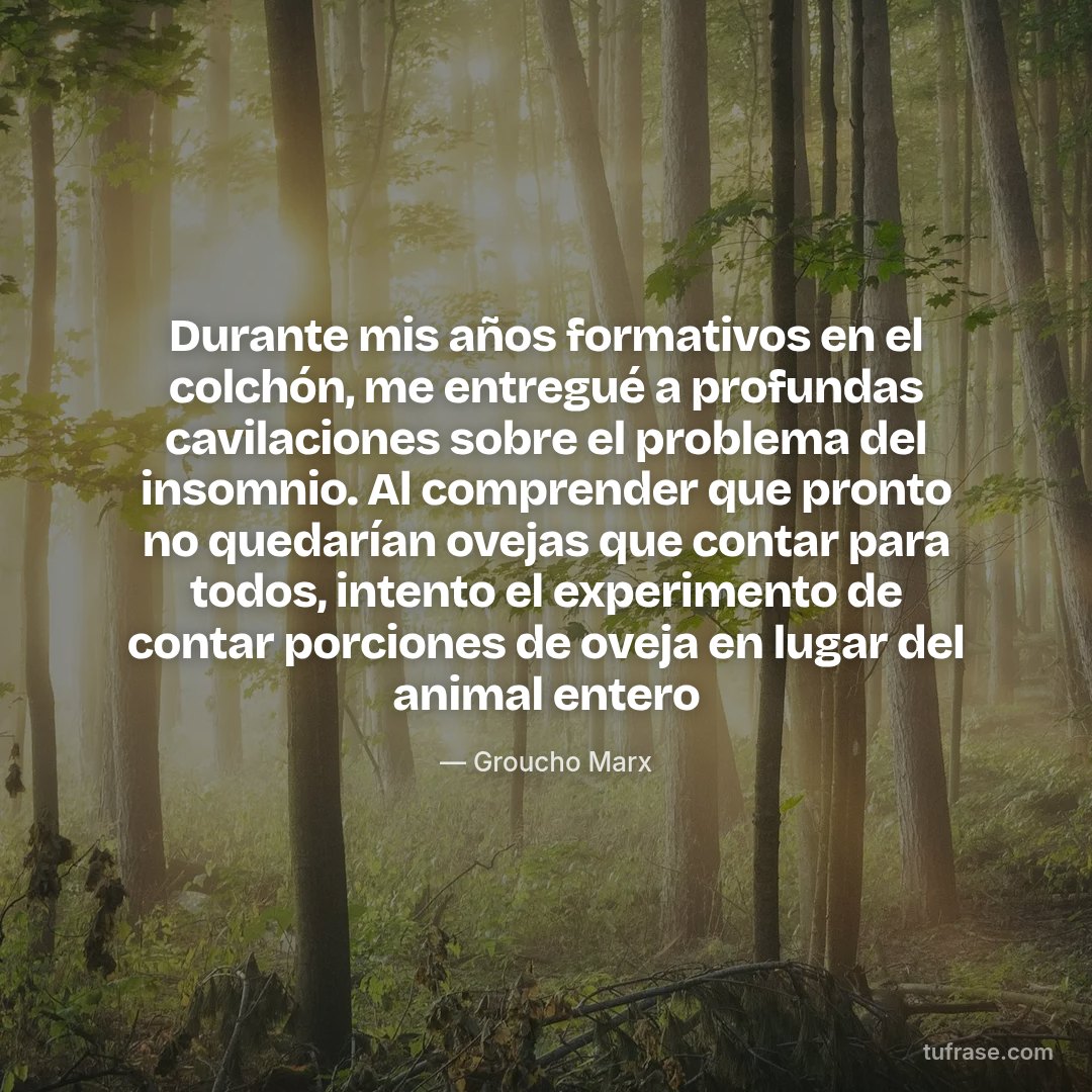 Durante mis años formativos en el colchón, me entregué a profundas cavilaciones sobre el problema del insomnio. Al comprender que pronto no quedarían ovejas que contar para todos, intento el experimento de contar porciones de oveja en lugar del animal entero
