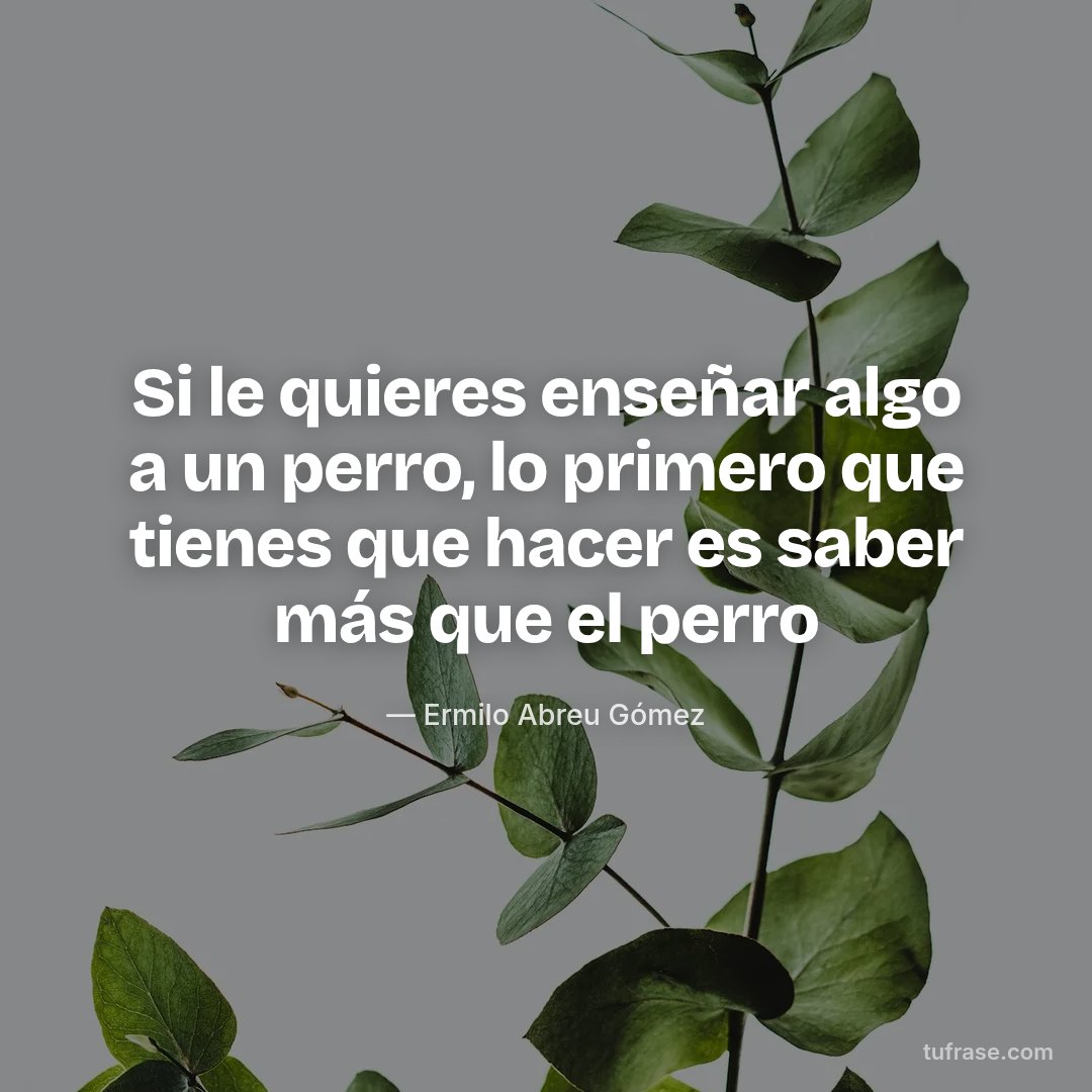 Si le quieres enseñar algo a un perro, lo primero que tienes que hacer es saber más que el perro