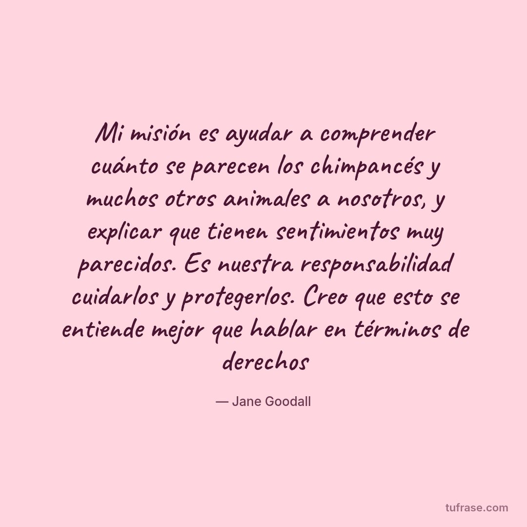 Mi misión es ayudar a comprender cuánto se parecen los chimpancés y muchos otros animales a nosotros, y explicar que tienen sentimientos muy parecidos. Es nuestra responsabilidad cuidarlos y protegerlos. Creo que esto se entiende mejor que hablar en términos de derechos