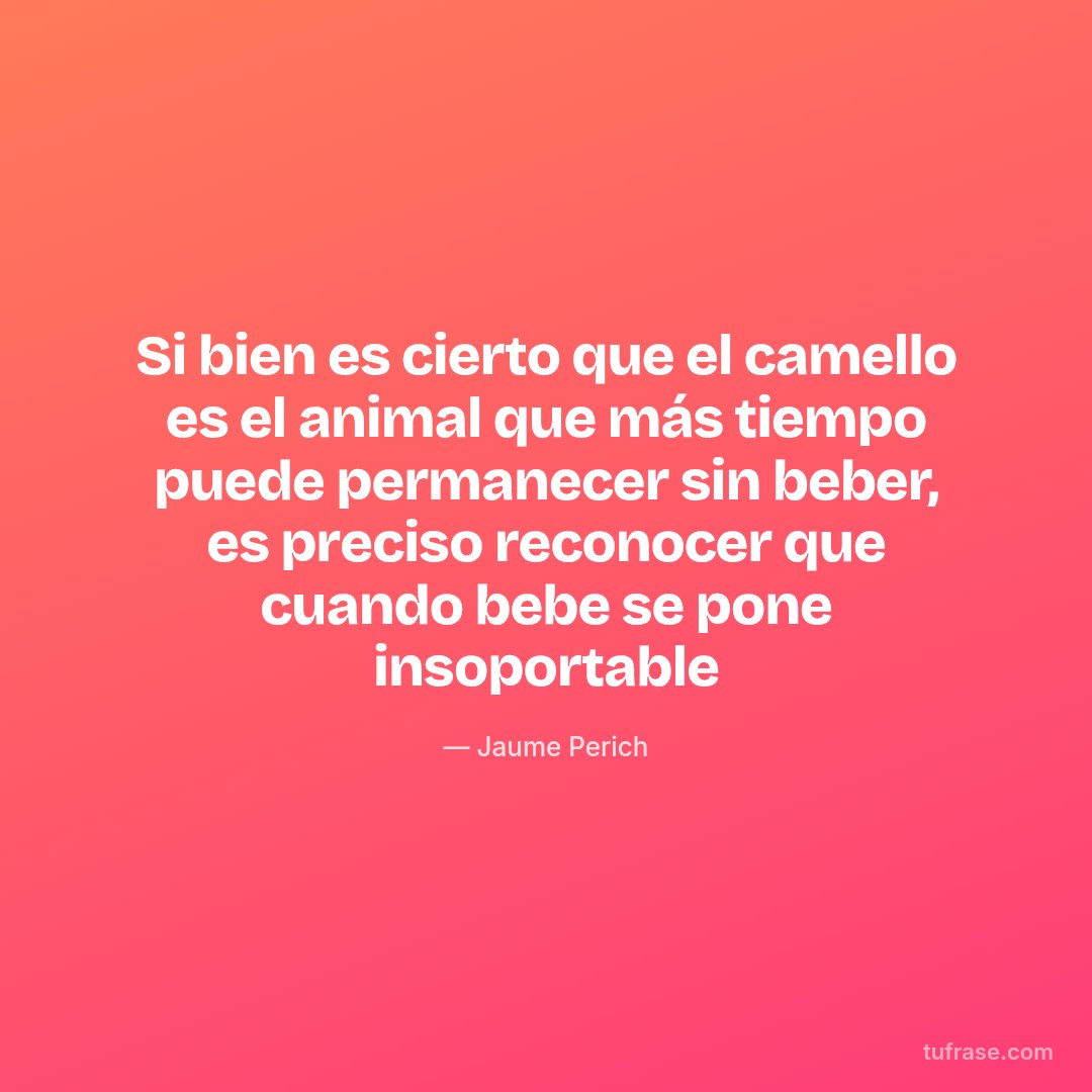 Si bien es cierto que el camello es el animal que más tiempo puede permanecer sin beber, es preciso reconocer que cuando bebe se pone insoportable