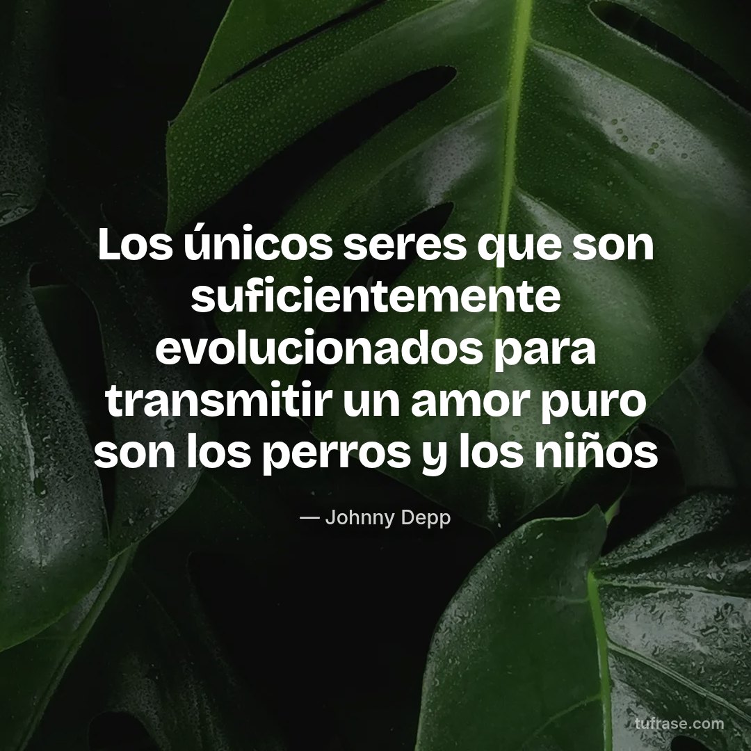 Los únicos seres que son suficientemente evolucionados para transmitir un amor puro son los perros y los niños