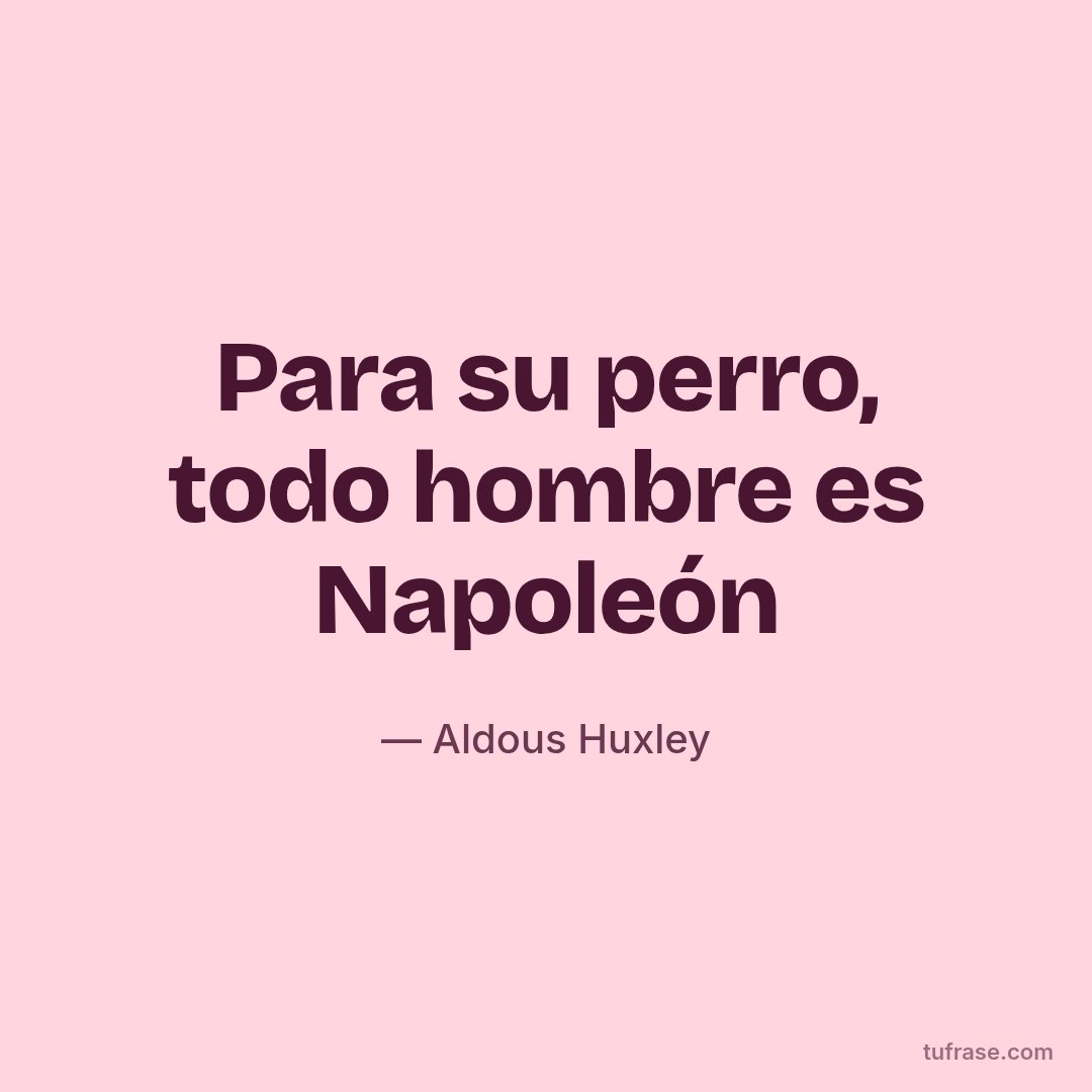 Para su perro, todo hombre es Napoleón