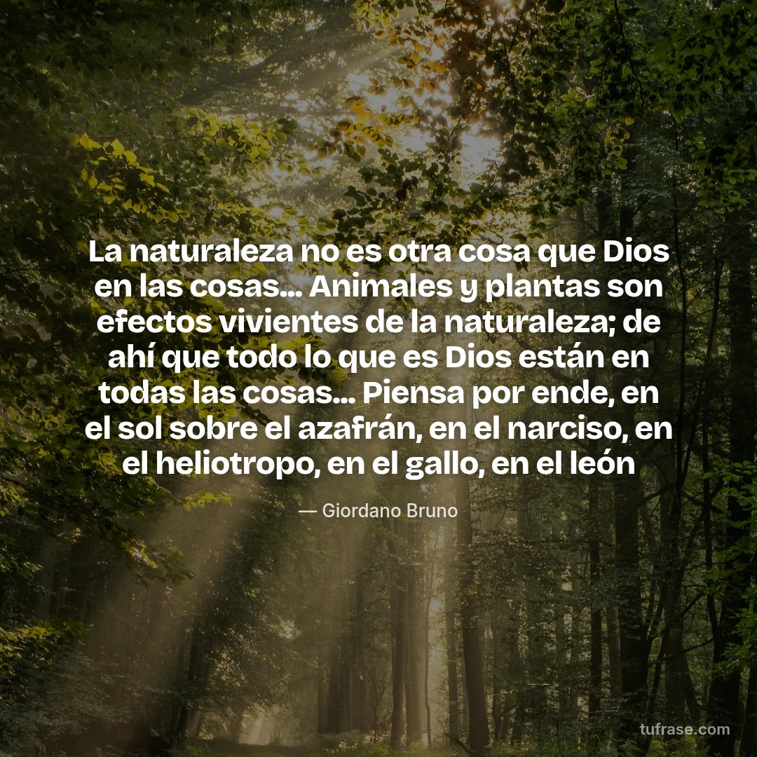 La naturaleza no es otra cosa que Dios en las cosas... Animales y plantas son efectos vivientes de la naturaleza; de ahí que todo lo que es Dios están en todas las cosas... Piensa por ende, en el sol sobre el azafrán, en el narciso, en el heliotropo, en el gallo, en el león