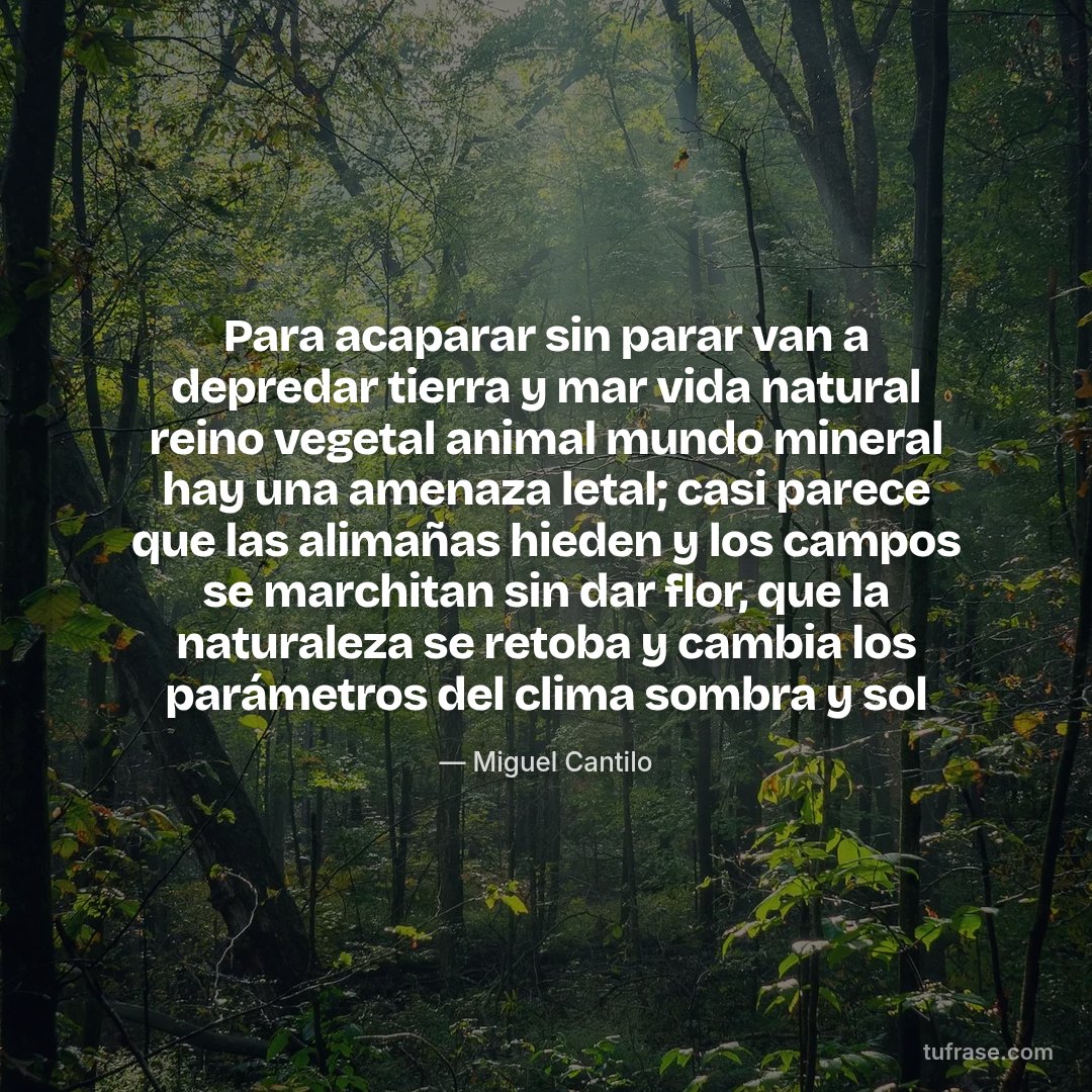 Para acaparar sin parar van a depredar tierra y mar vida natural reino vegetal animal mundo mineral hay una amenaza letal; casi parece que las alimañas hieden y los campos se marchitan sin dar flor, que la naturaleza se retoba y cambia los parámetros del clima sombra y sol