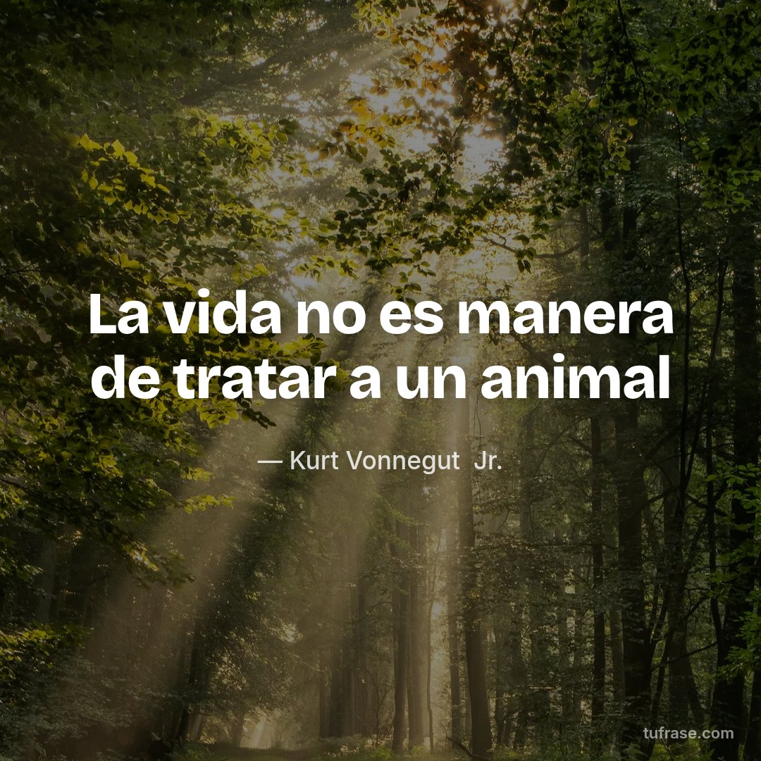 La vida no es manera de tratar a un animal