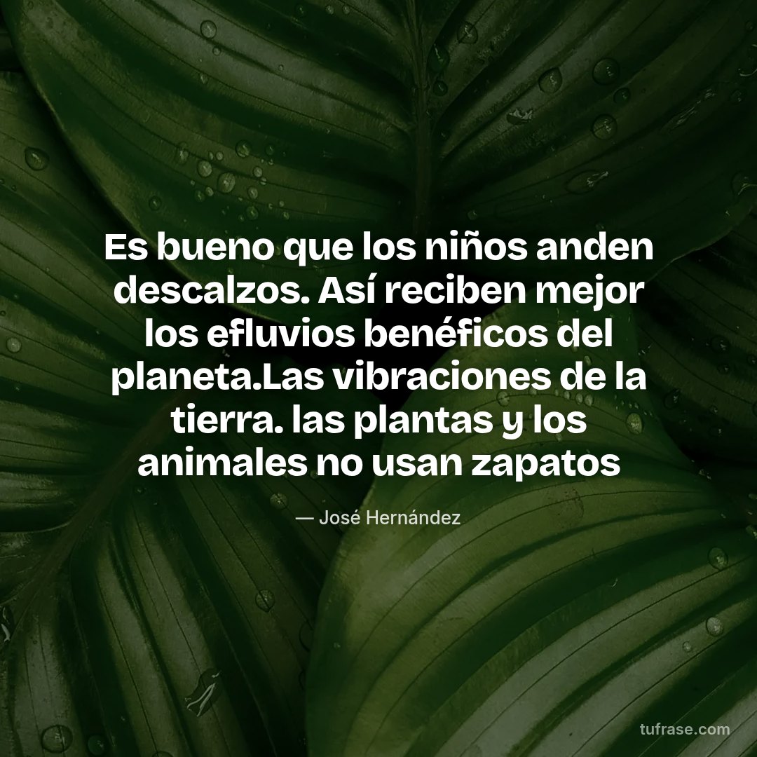 Es bueno que los niños anden descalzos. Así reciben mejor los efluvios benéficos del planeta.Las vibraciones de la tierra. las plantas y los animales no usan zapatos