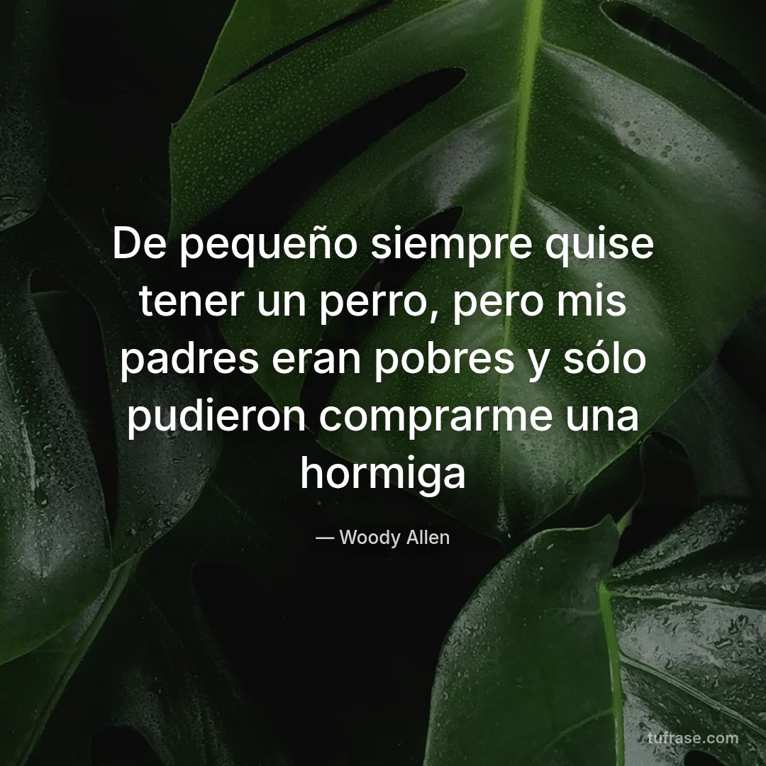 De pequeño siempre quise tener un perro, pero mis padres eran pobres y sólo pudieron comprarme una hormiga