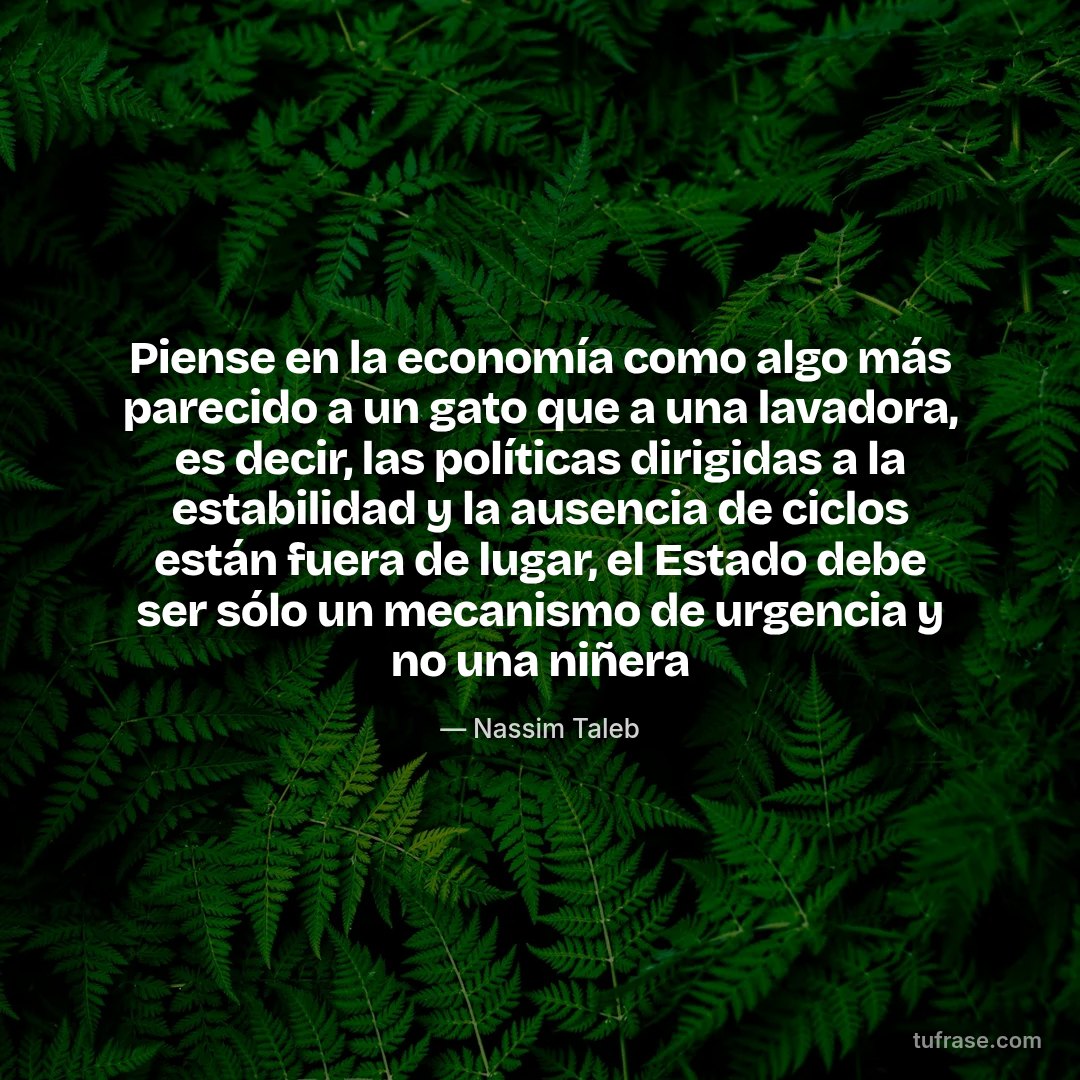 Piense en la economía como algo más parecido a un gato que a una lavadora, es decir, las políticas dirigidas a la estabilidad y la ausencia de ciclos están fuera de lugar, el Estado debe ser sólo un mecanismo de urgencia y no una niñera