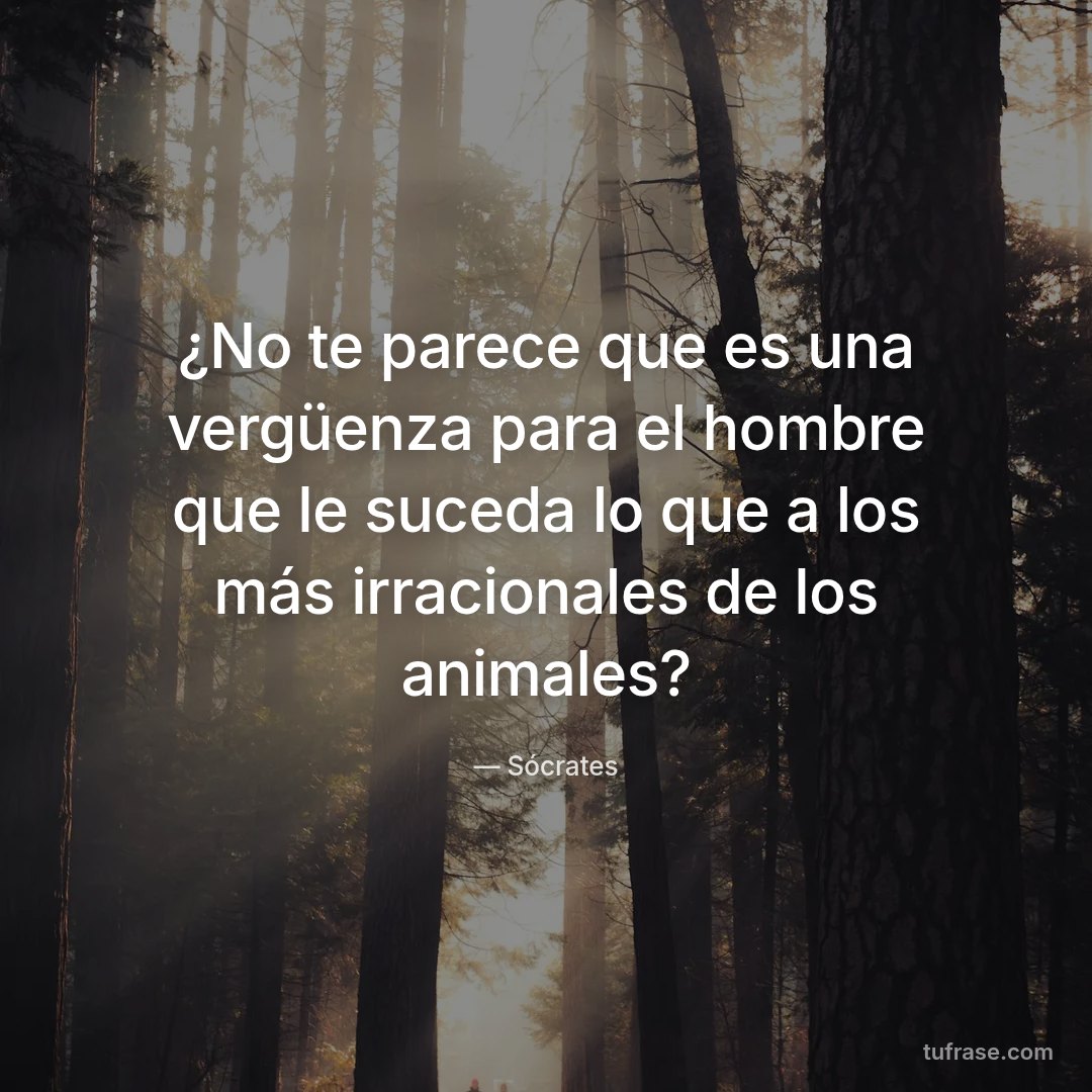 ¿No te parece que es una vergüenza para el hombre que le suceda lo que a los más irracionales de los animales?