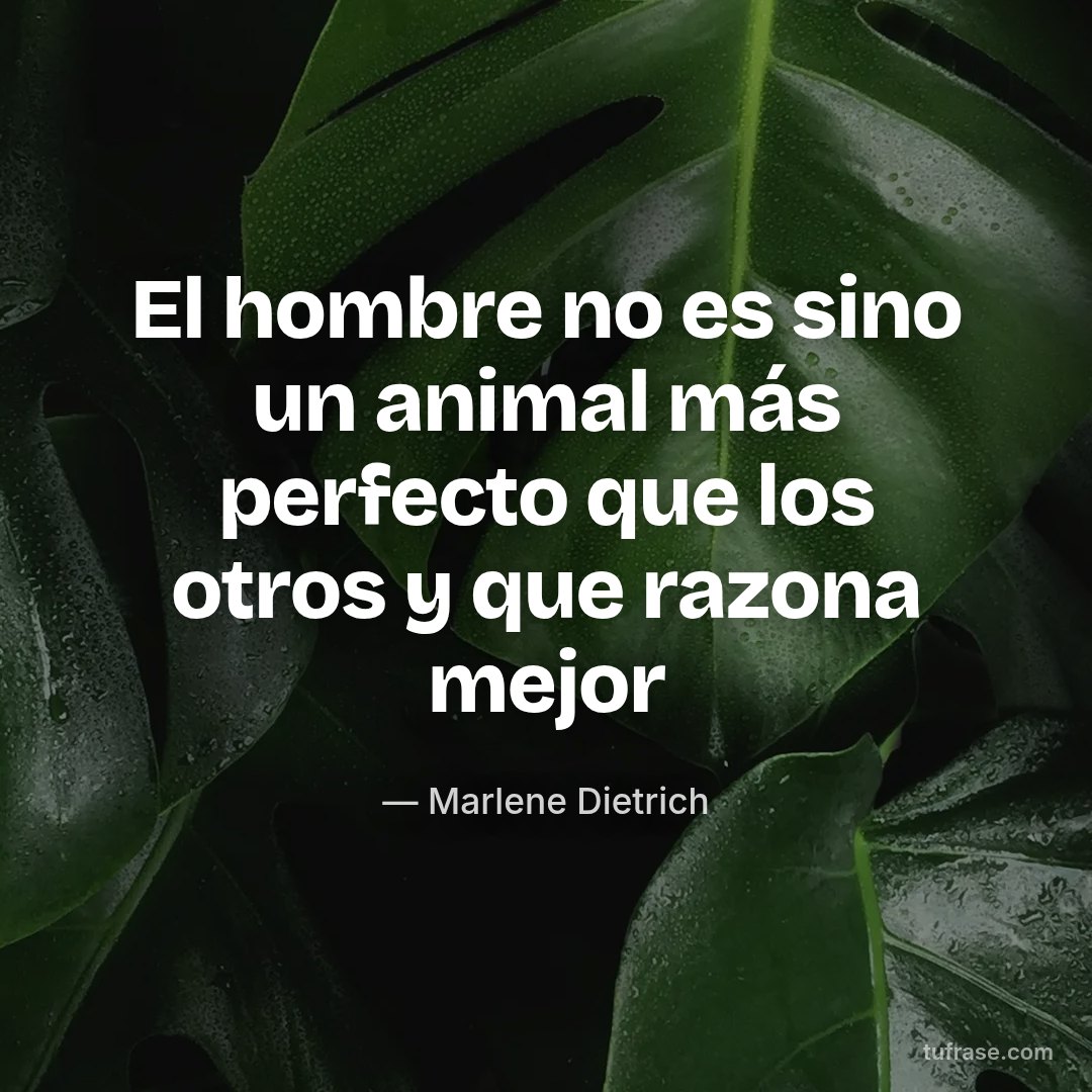 El hombre no es sino un animal más perfecto que los otros y que razona mejor