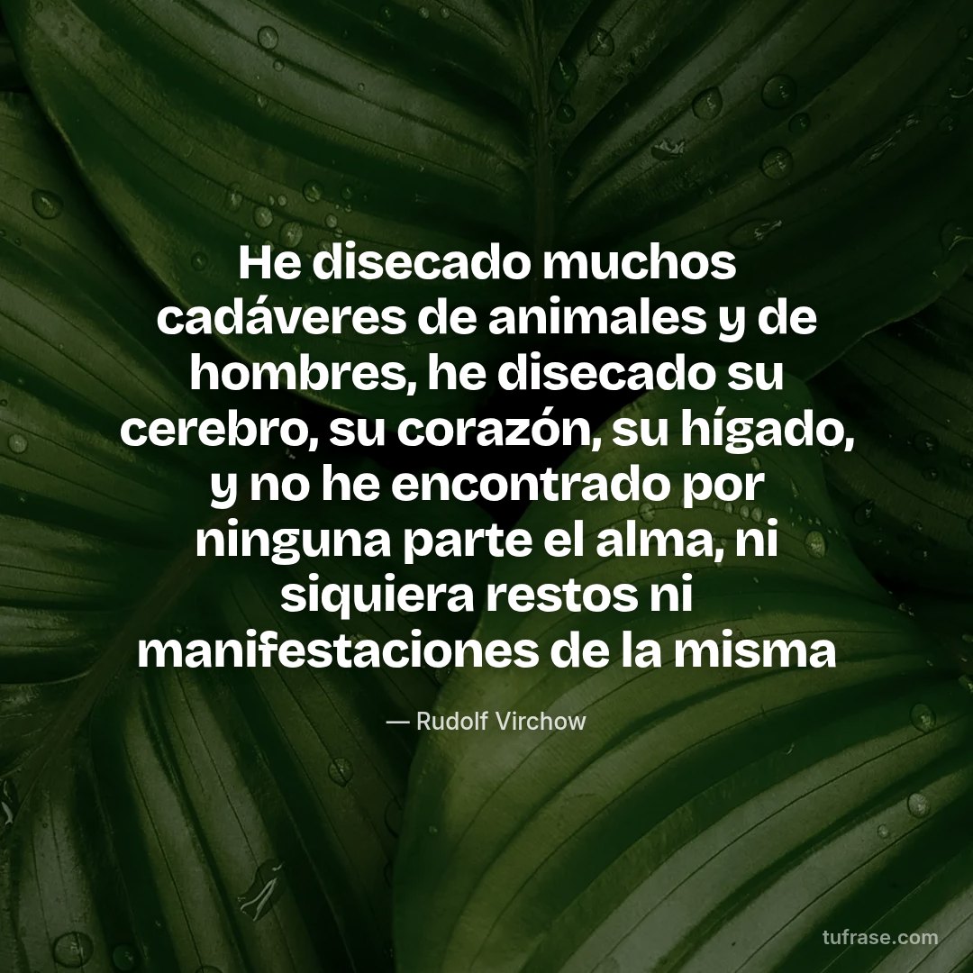 He disecado muchos cadáveres de animales y de hombres, he disecado su cerebro, su corazón, su hígado, y no he encontrado por ninguna parte el alma, ni siquiera restos ni manifestaciones de la misma