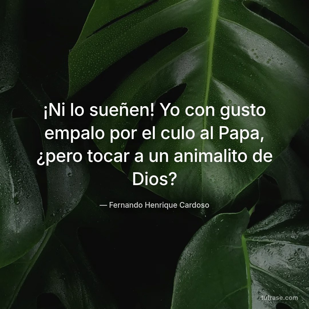¡Ni lo sueñen! Yo con gusto empalo por el culo al Papa, ¿pero tocar a un animalito de Dios?