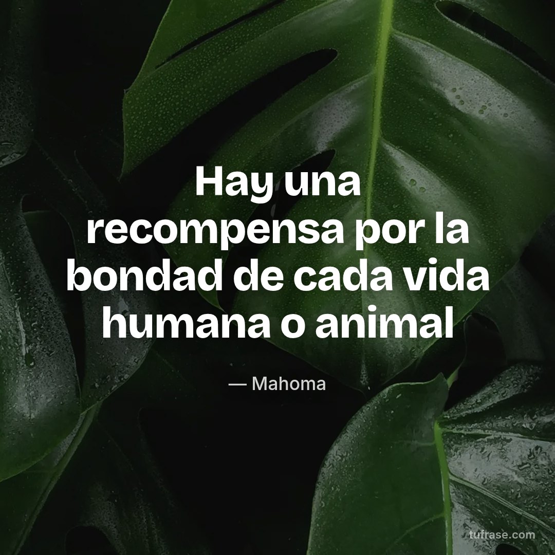Hay una recompensa por la bondad de cada vida humana o animal