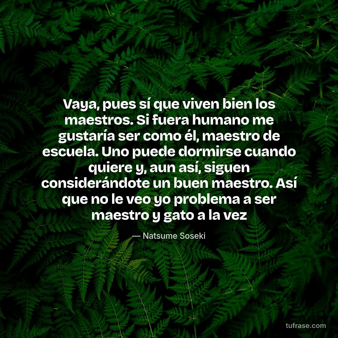 Vaya, pues sí que viven bien los maestros. Si fuera humano me gustaría ser como él, maestro de escuela. Uno puede dormirse cuando quiere y, aun así, siguen considerándote un buen maestro. Así que no le veo yo problema a ser maestro y gato a la vez