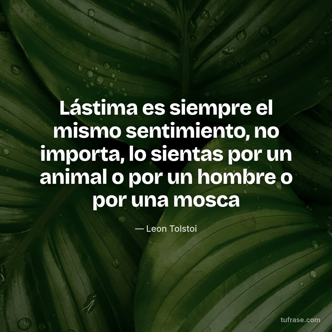Lástima es siempre el mismo sentimiento, no importa, lo sientas por un animal o por un hombre o por una mosca