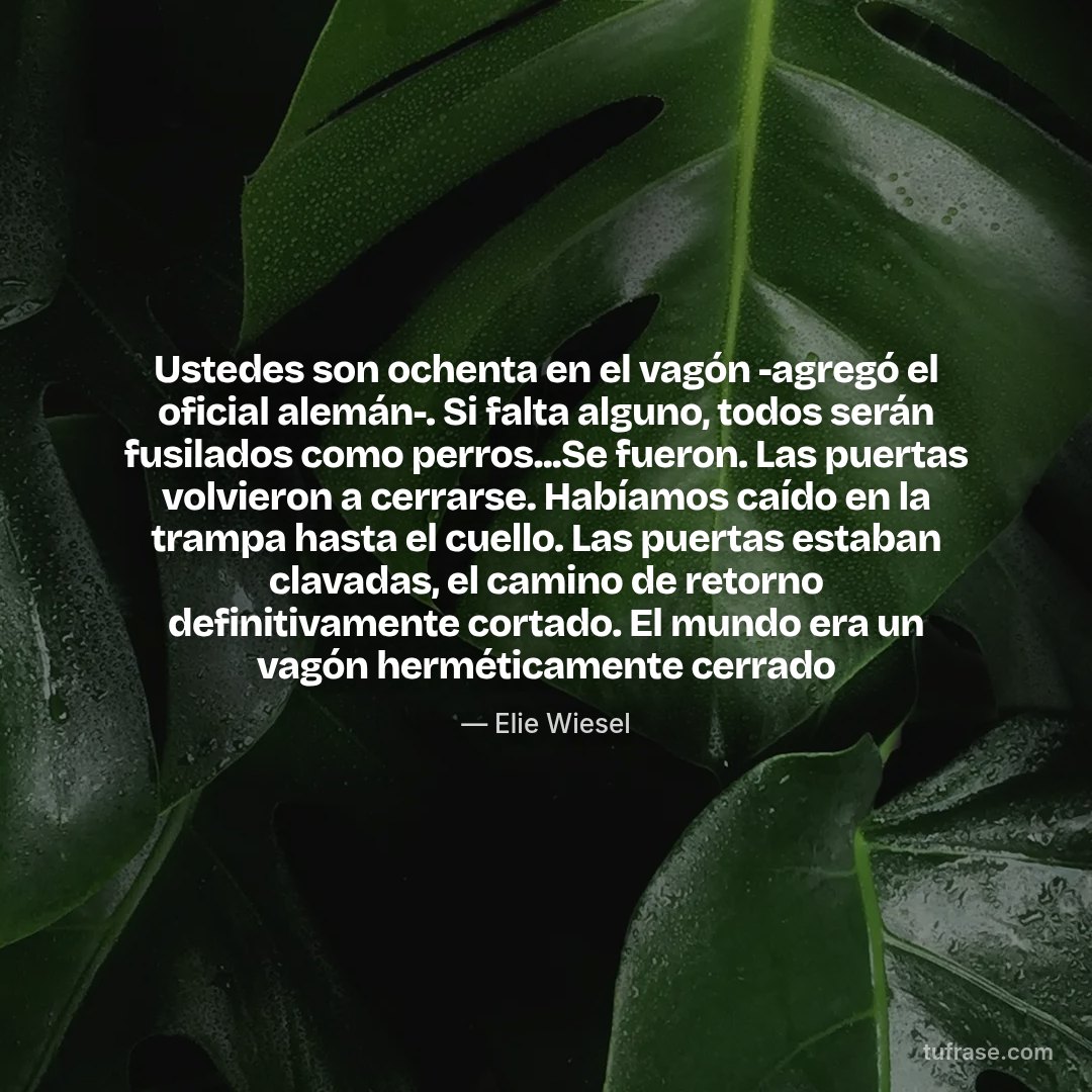 Ustedes son ochenta en el vagón -agregó el oficial alemán-. Si falta alguno, todos serán fusilados como perros...Se fueron. Las puertas volvieron a cerrarse. Habíamos caído en la trampa hasta el cuello. Las puertas estaban clavadas, el camino de retorno definitivamente cortado. El mundo era un vagón herméticamente cerrado