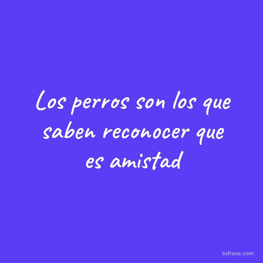 Los perros son los que saben reconocer que es amistad