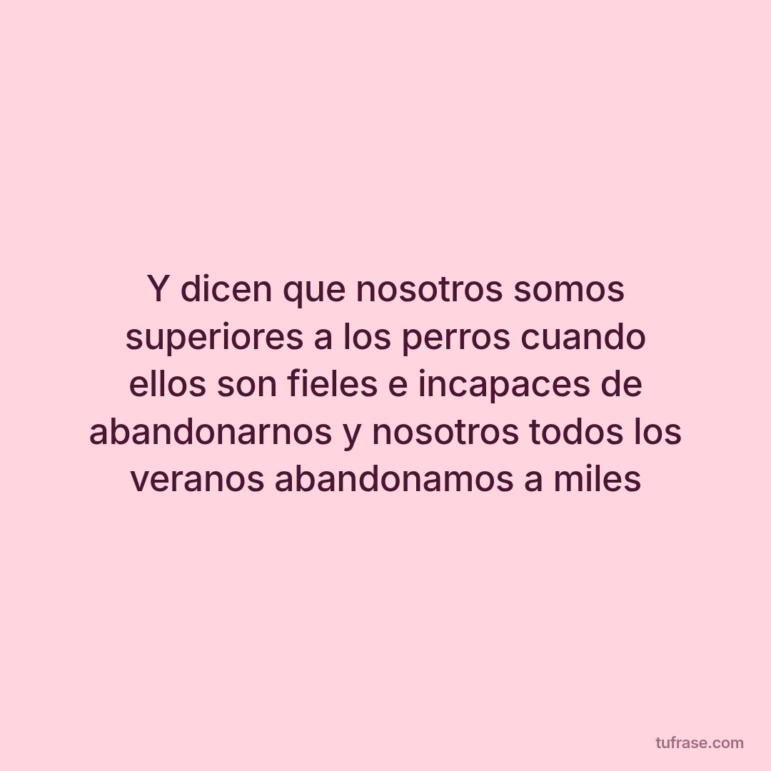 Y dicen que nosotros somos superiores a los perros cuando ellos son fieles e incapaces de abandonarnos y nosotros todos los veranos abandonamos a miles
