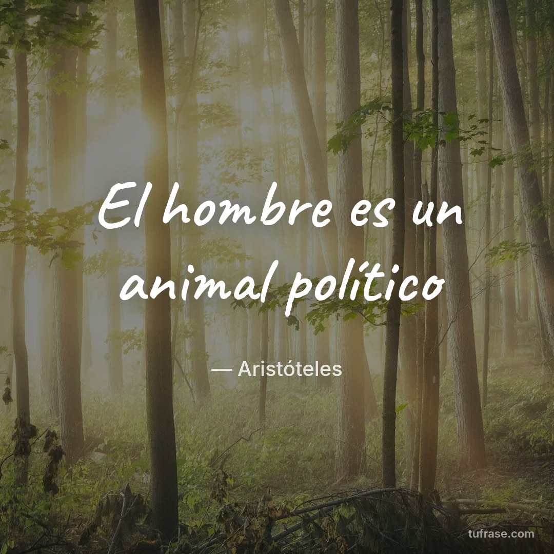 El hombre es un animal político