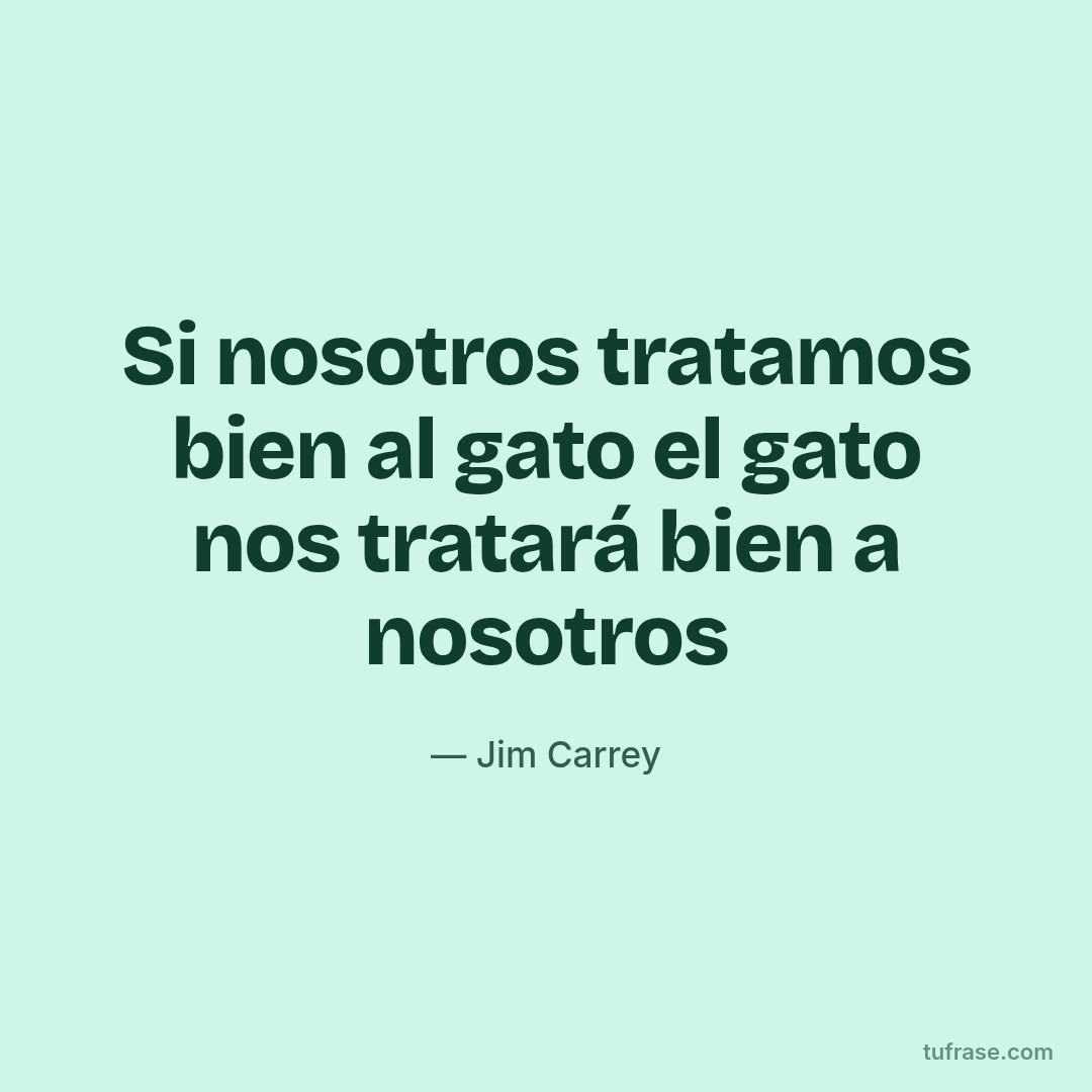 Si nosotros tratamos bien al gato el gato nos tratará bien a nosotros