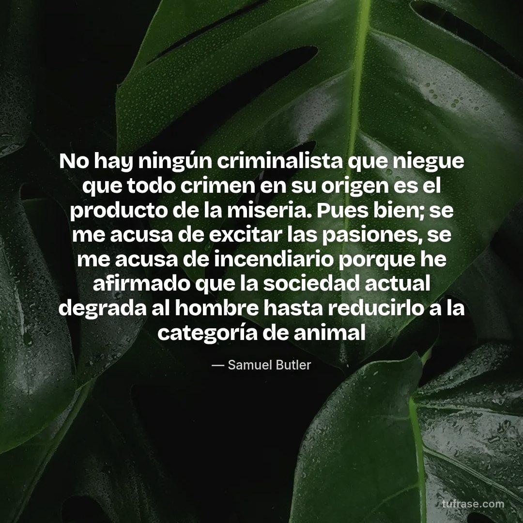 No hay ningún criminalista que niegue que todo crimen en su origen es el producto de la miseria. Pues bien; se me acusa de excitar las pasiones, se me acusa de incendiario porque he afirmado que la sociedad actual degrada al hombre hasta reducirlo a la categoría de animal